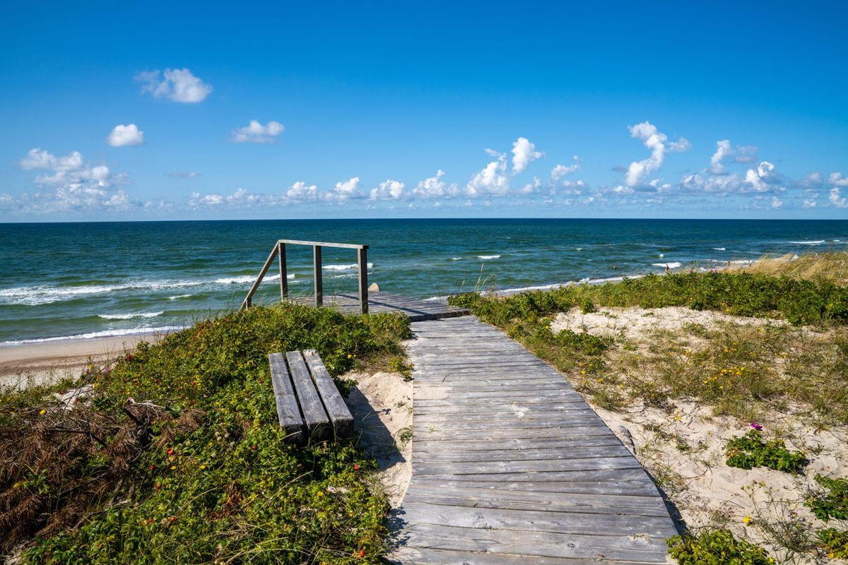 Птицы на Куршской косе - миграционный путь